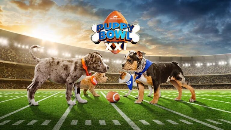 March 2025 on Warner Bros. Discovery