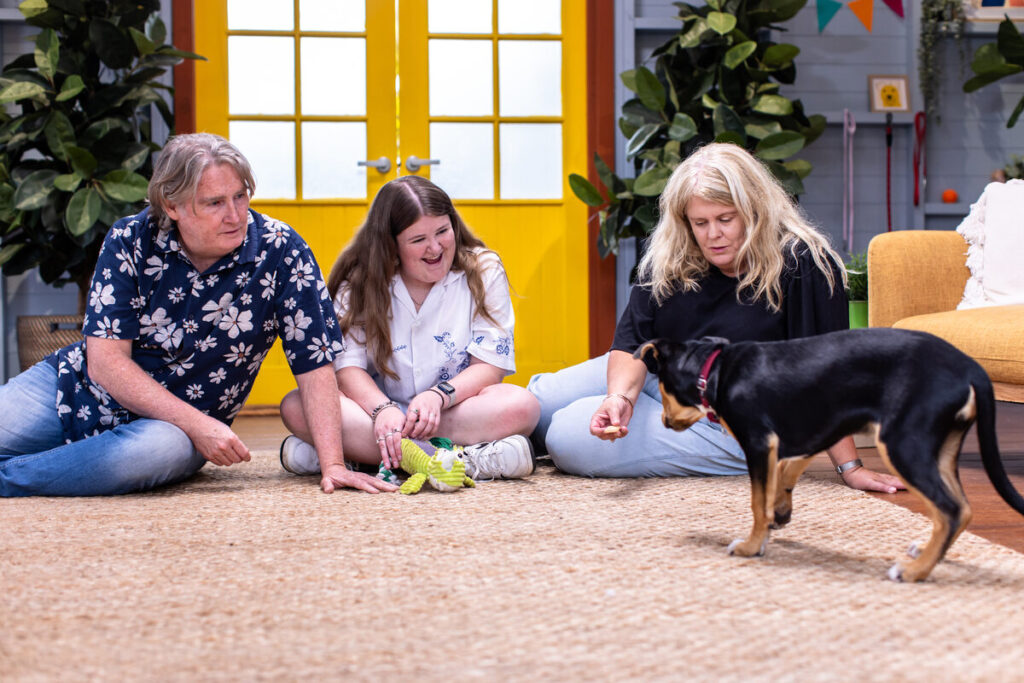 Review | The Dog House Australia on 10 and 10 Play