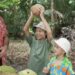 Gardening Australia Junior on ABC Kids and ABC iview S2E13