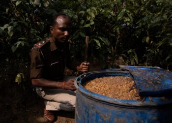 Foreign Correspondent on ABC and ABC iview S35E4