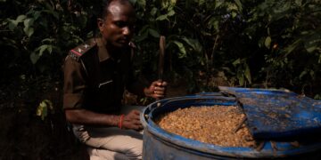 Foreign Correspondent on ABC and ABC iview S35E4