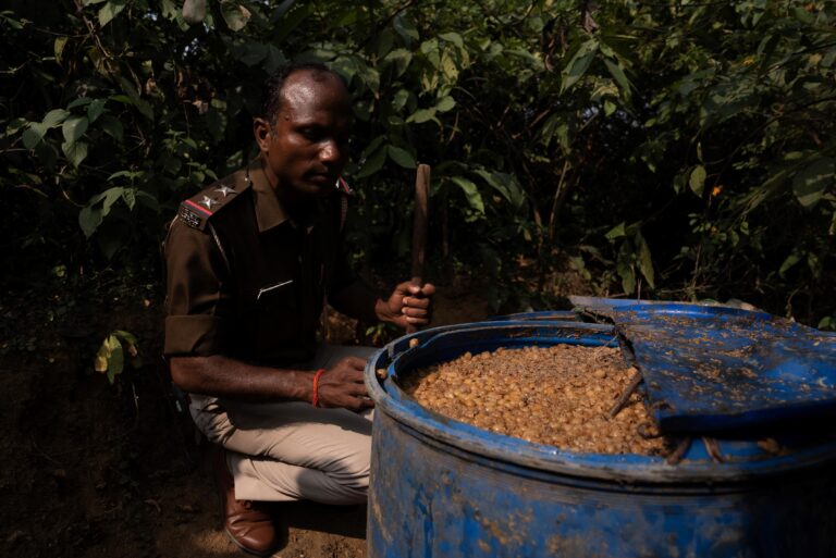Foreign Correspondent on ABC and ABC iview S35E4
