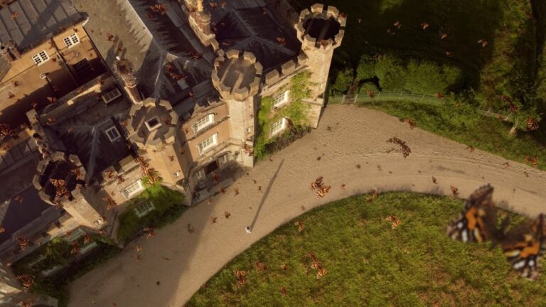 MOVIE | Wilding to screen 22 May