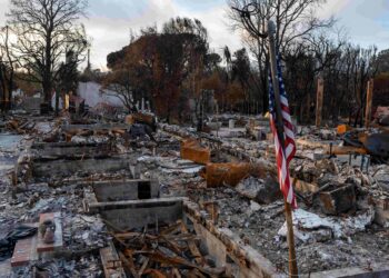 Foreign Correspondent on ABC and ABC iview S35E7