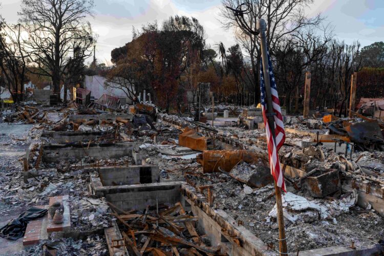 Foreign Correspondent on ABC and ABC iview S35E7