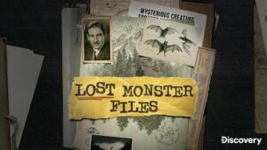 May 2025 on Warner Bros. Discovery