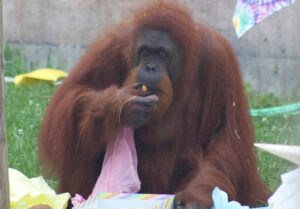 May 2025 on ABC iview