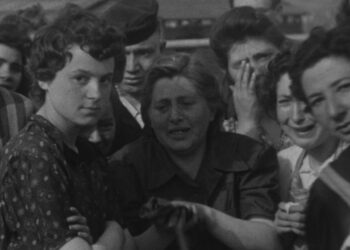 What They Found on SBS and SBS on Demand