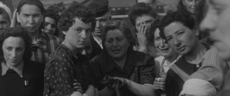 What They Found on SBS and SBS on Demand