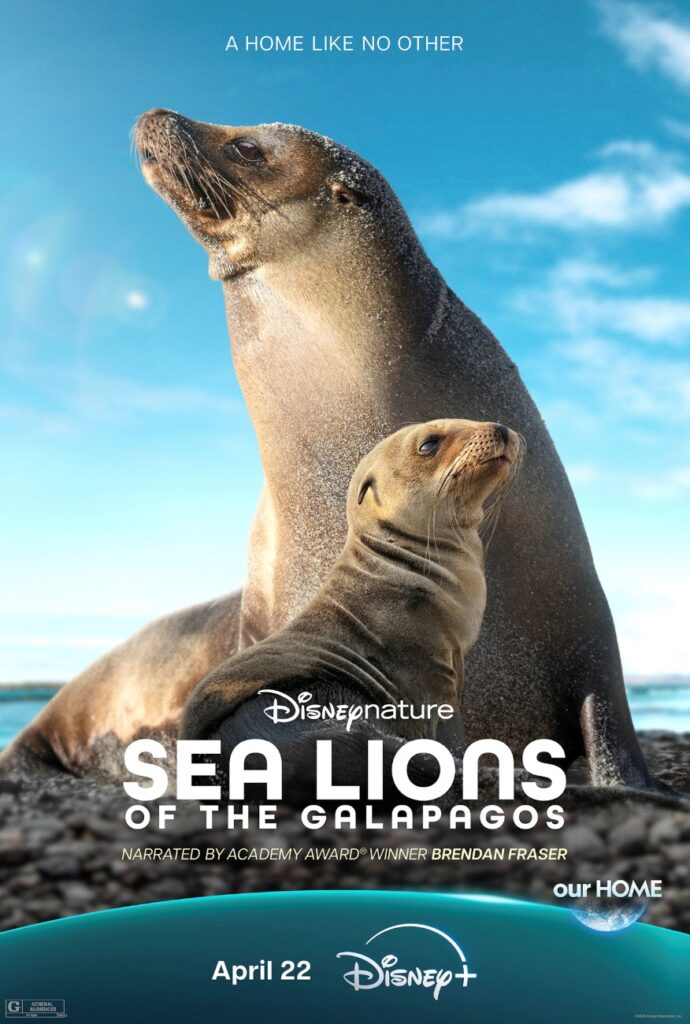 Sea Lions of the Galápagos on Disney+ trailer