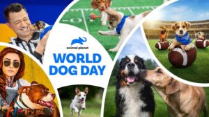 May 2025 on Warner Bros. Discovery