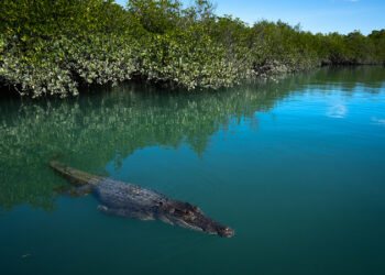 The Kimberley on ABC and ABC iview S1E3