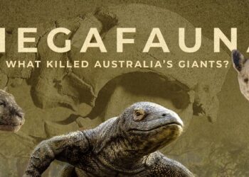 ABC science documentary wins Gold at the New York Festivals TV and Film Awards