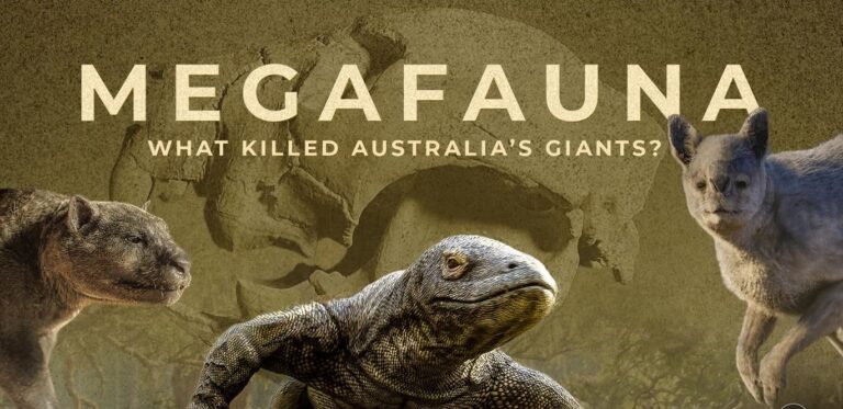 ABC science documentary wins Gold at the New York Festivals TV and Film Awards