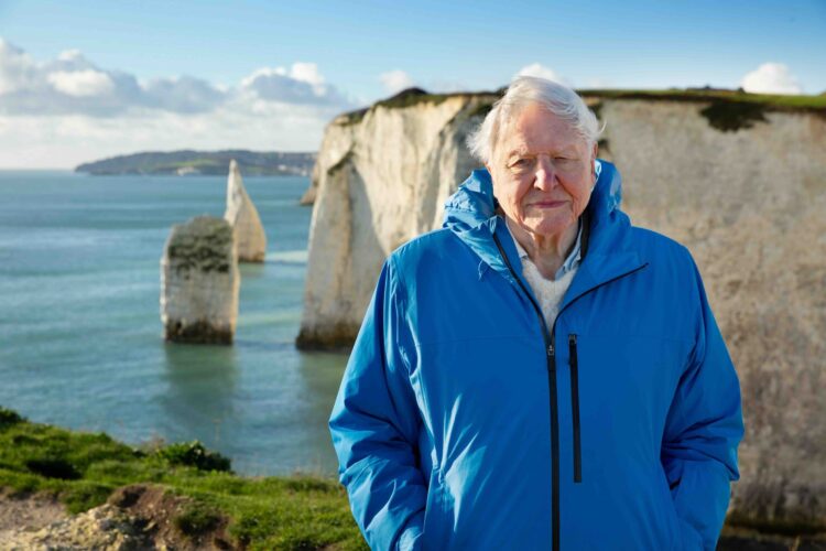Ocean with David Attenborough on Disney+ trailer