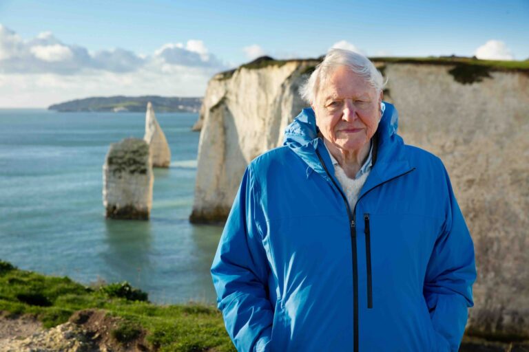 Ocean with David Attenborough on Disney+ trailer