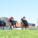 Foxtel Group and Sky Racing chute into multi-year partnership