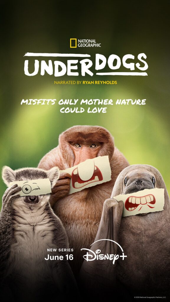 Underdogs on Disney+ narrated by Ryan Reynolds