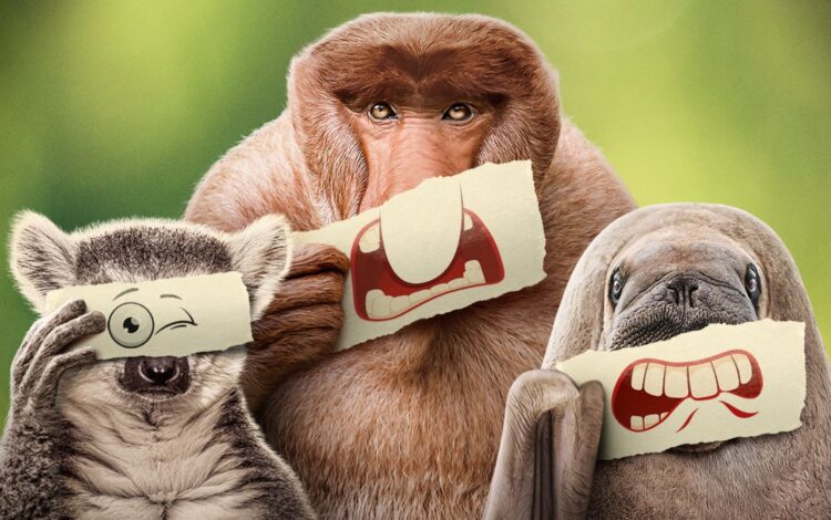 Underdogs on Disney+ narrated by Ryan Reynolds