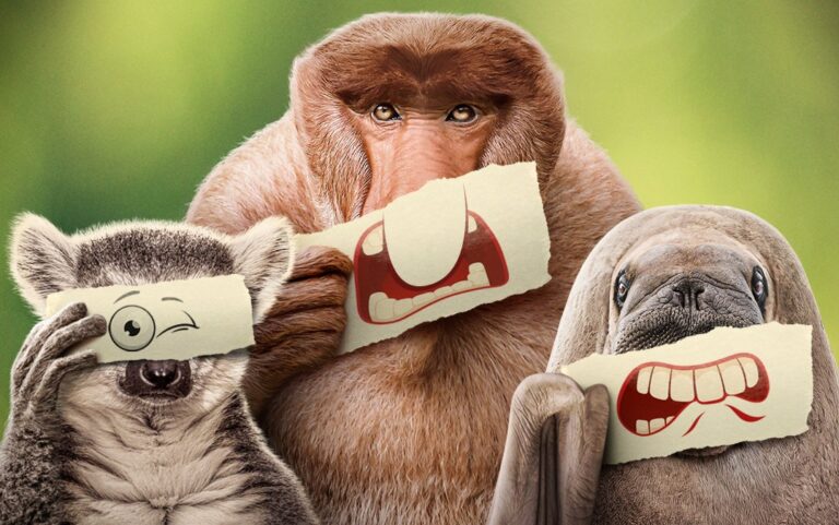 Underdogs on Disney+ narrated by Ryan Reynolds