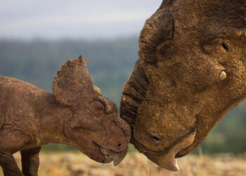 Walking with Dinosaurs on ABC and ABC iview S1E5