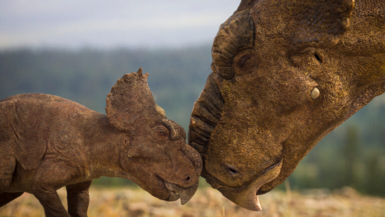 Walking with Dinosaurs on ABC and ABC iview S1E5