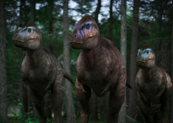 Walking with Dinosaurs on ABC and ABC iview S2E4