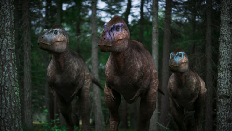 Walking with Dinosaurs on ABC and ABC iview S2E4