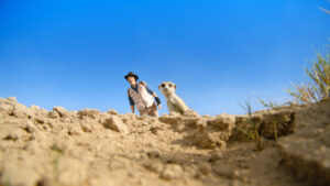 July 2025 on ABC iview