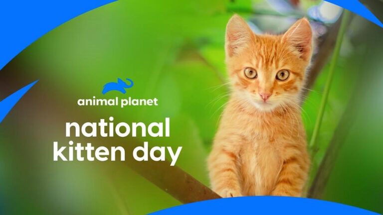 July 2025 on Warner Bros Discovery