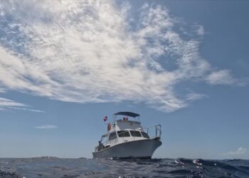 The Bermuda Triangle: Into Cursed Waters on SBS Viceland and SBS on Demand S2E1 and S2E2