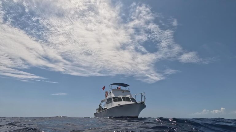 The Bermuda Triangle: Into Cursed Waters on SBS Viceland and SBS on Demand S2E1 and S2E2