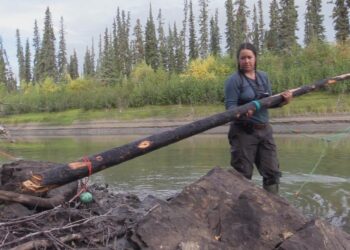 Alone on SBS Viceland and SBS on Demand S11E1 and S11E2