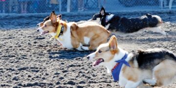 ESPN8: The Ocho delivers the biggest ever edition across three days starting Friday August 1