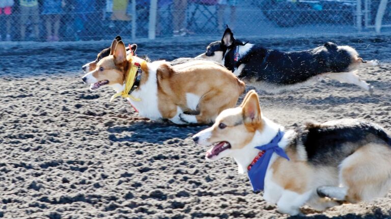 ESPN8: The Ocho delivers the biggest ever edition across three days starting Friday August 1