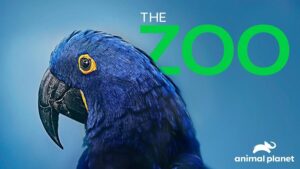 August 2025 on Warner Bros Discovery