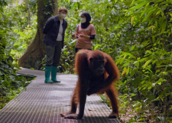 Dr Ann's Secret Lives on ABC and ABC iview S1E3