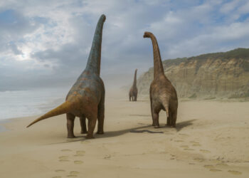 Walking with Dinosaurs on ABC and ABC iview S2E6