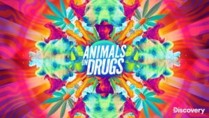 August 2025 on Warner Bros Discovery