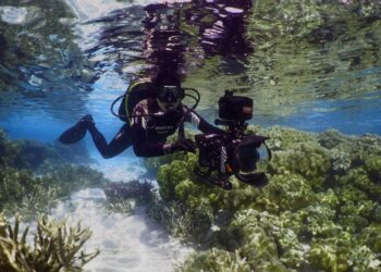 Far North Queensland screen businesses share in enterprise funding boost