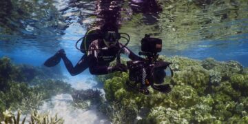 Far North Queensland screen businesses share in enterprise funding boost