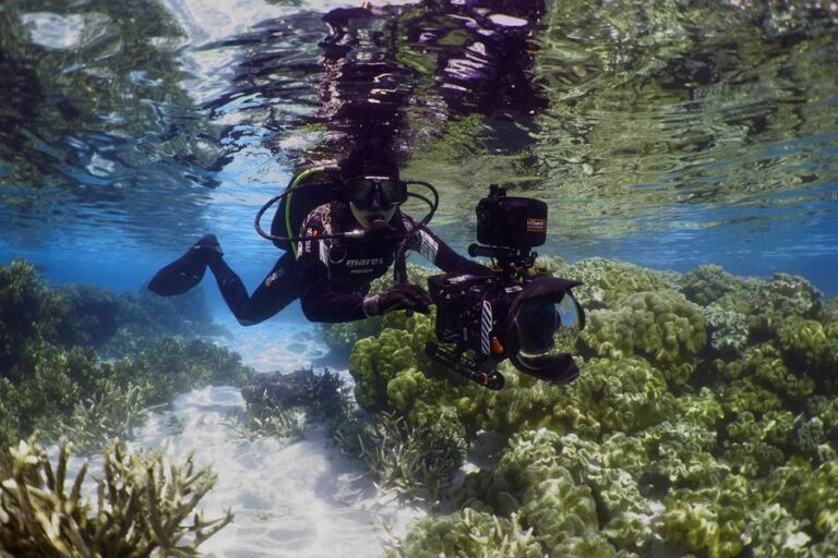 Far North Queensland screen businesses share in enterprise funding boost