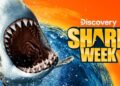 Discovery’s Shark Week returns 10 August