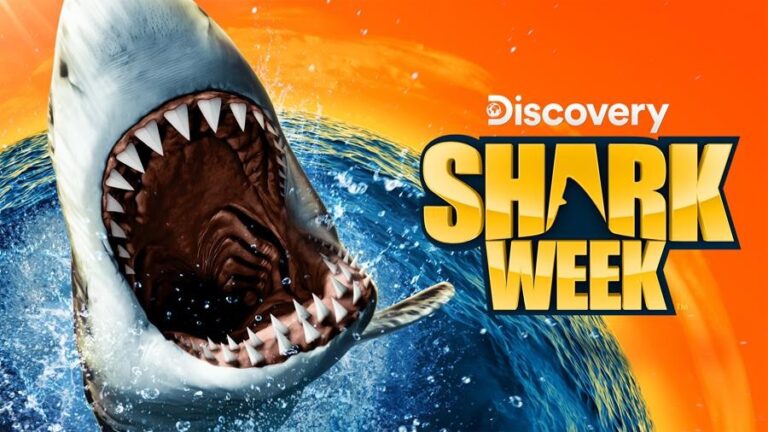 Discovery’s Shark Week returns 10 August