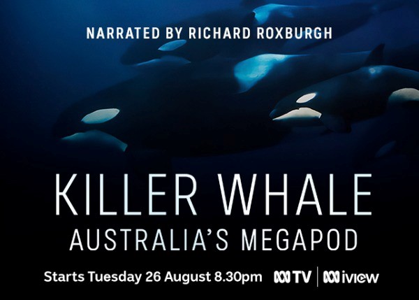 Killer Whale: Australia’s Megapod on ABC makes a splash in August