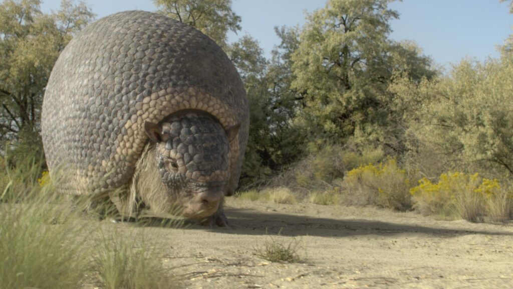 Prehistoric Planet: Ice Age on Apple TV new trailer