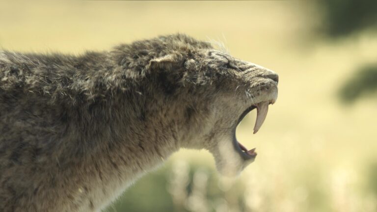 Prehistoric Planet: Ice Age on Apple TV+ for November