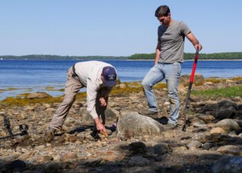 The Curse of Oak Island on SBS Viceland and SBS on Demand S11E5 and S11E6