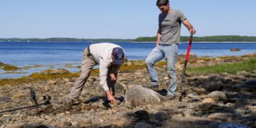 The Curse of Oak Island on SBS Viceland and SBS on Demand S11E5 and S11E6