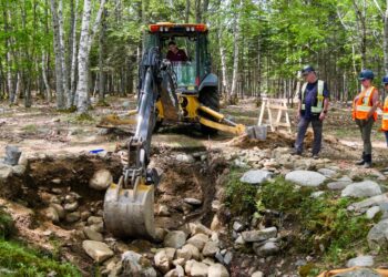 The Curse of Oak Island on SBS Viceland and SBS on Demand S11E3 and S11E4